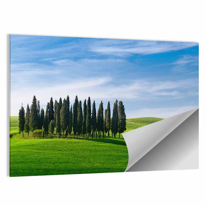 Tuscany Rolling Hills with Cypresses Wall Art as a poster print