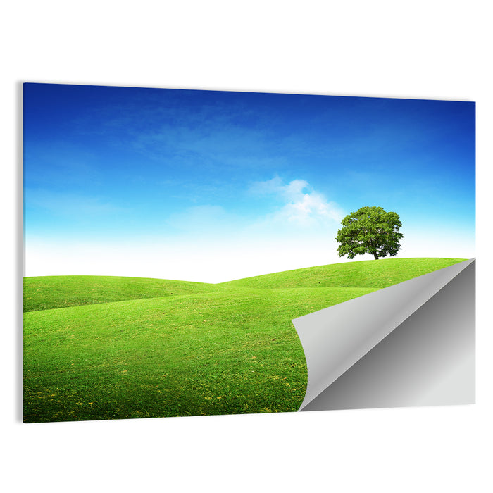 Lone Tree on Rolling Green Hill Wall Art as a poster print