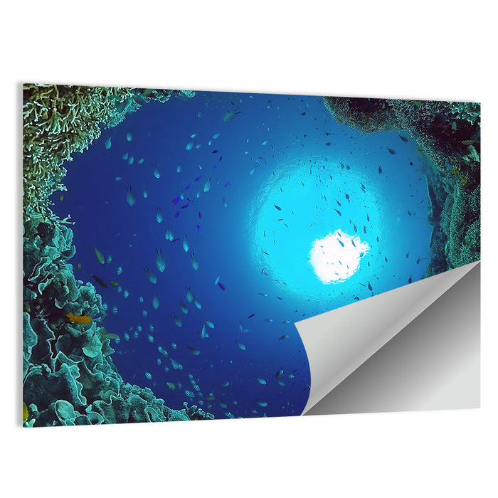 Sunlit Coral Reef with Tropical Fish Wall Art as a poster print