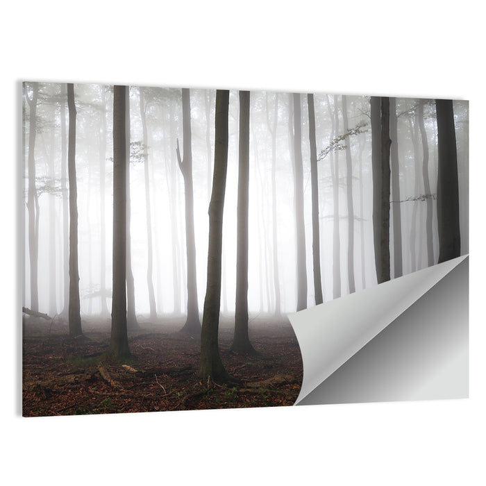 Misty Forest Perspective Wall Art as a poster print