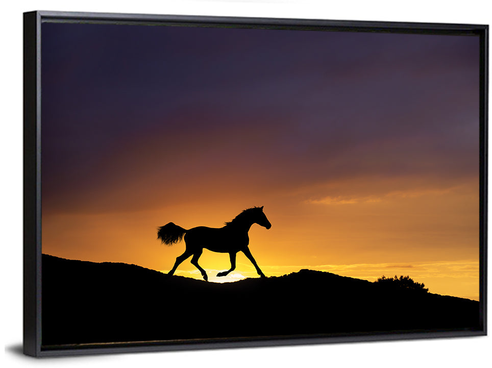 Running Horse Silhouette Wall Art