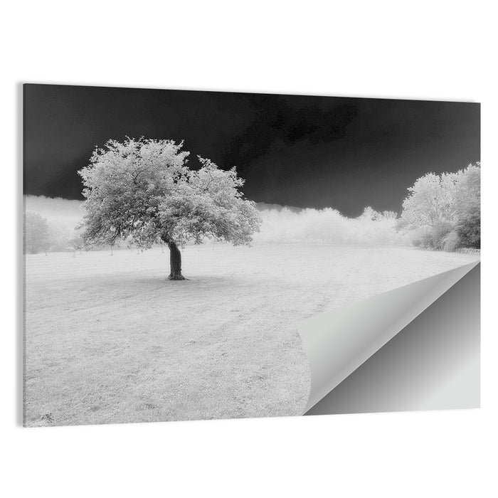 Lonely Tree in Surreal Winter Field Wall Art as a poster print