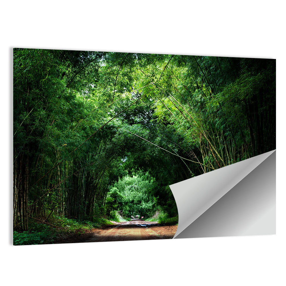 Road With Bamboo In Kyoto Wall Art