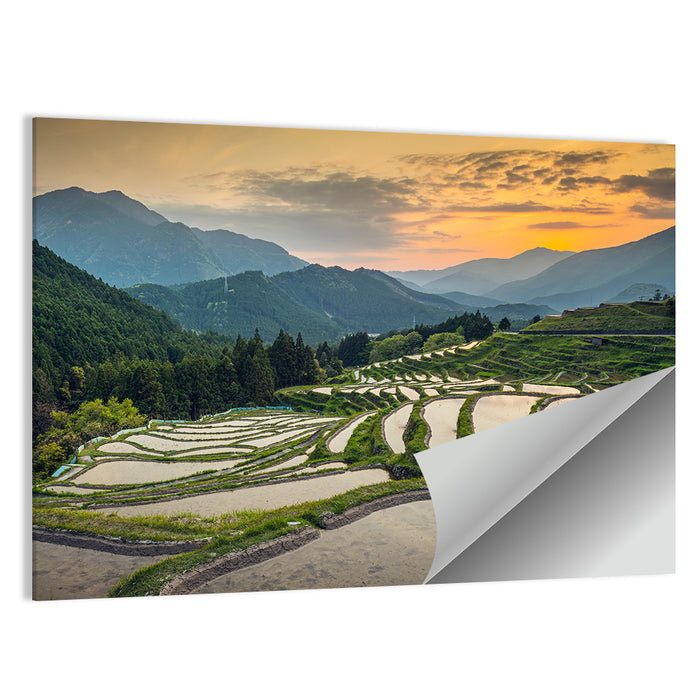 Sunset Over Japanese Rice Terraces Wall Art as a poster print