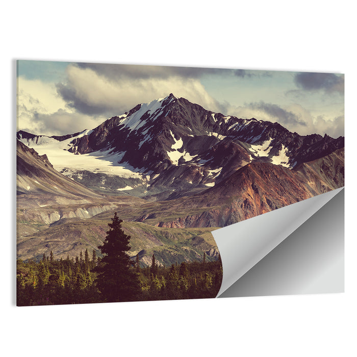 Denali Highway Mountain View Wall Art as a poster print
