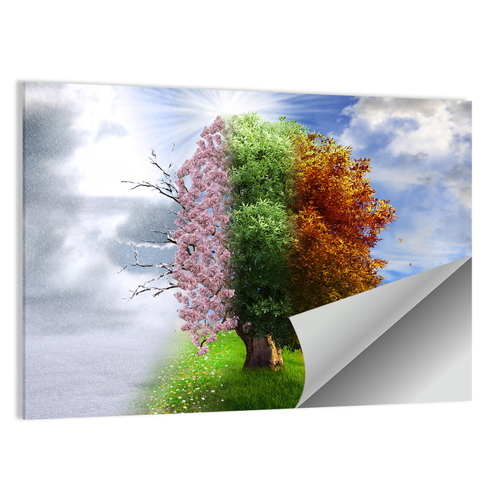 Tree Through Four Seasons Wall Art as a poster print