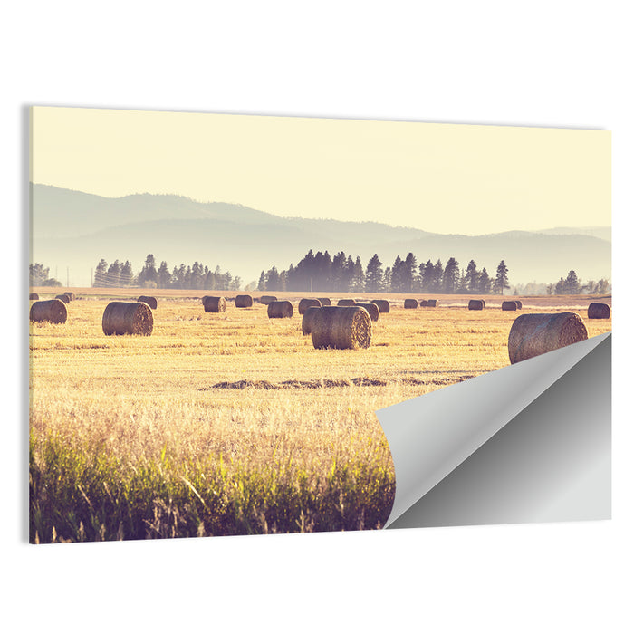 Golden Hay Bales Field Wall Art as a poster print