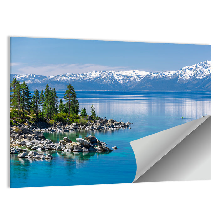 Lake Tahoe Shoreline View Wall Art as a poster print