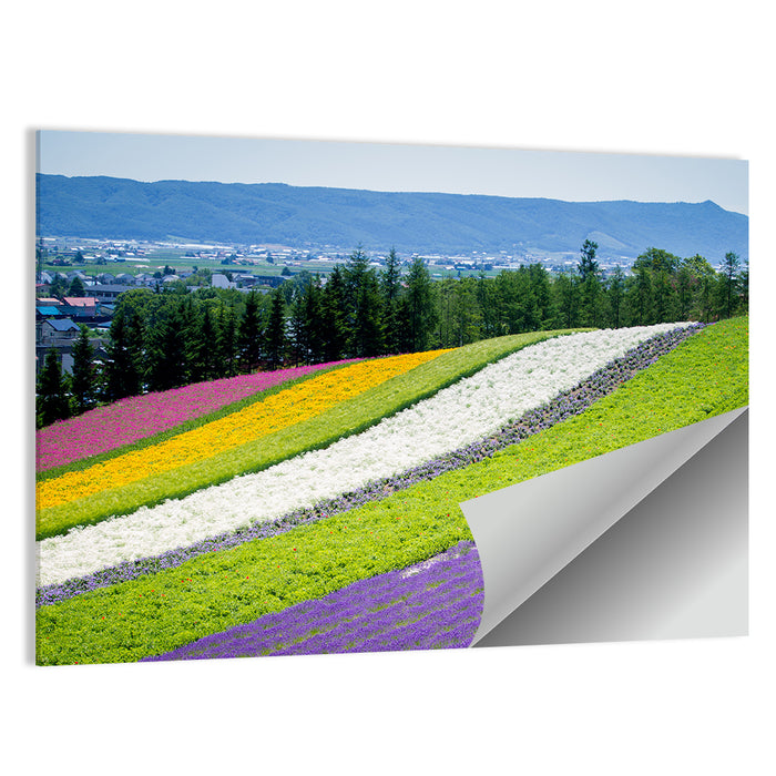 Farm Tomita Lavender Fields Wall Art as a poster print
