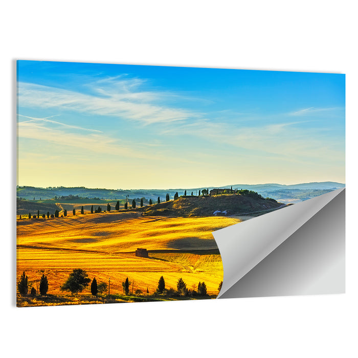 Cypress Trees Over Golden Fields Wall Art as a poster print