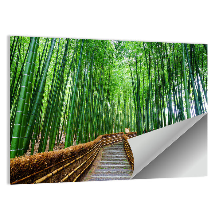 Stone Steps in Kyoto Bamboo Forest Wall Art as a poster print