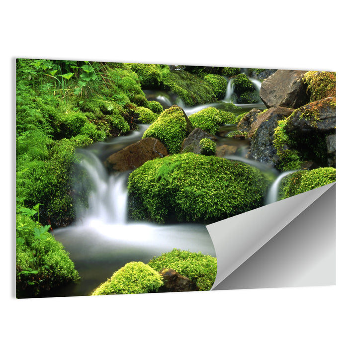 Mossy Mountain Stream Wall Art as a poster print