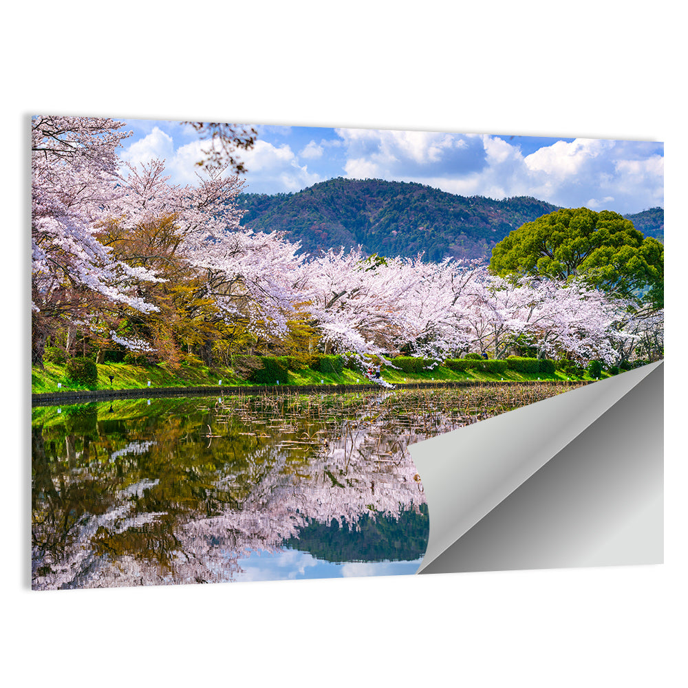 Spring At Daikaku-ji Temple's Pond Wall Art