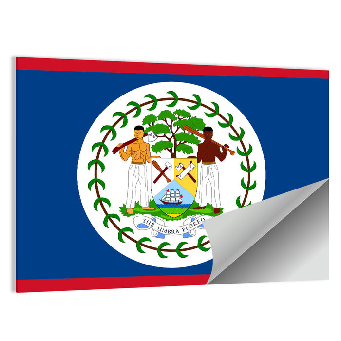 Belize National Flag Emblem Wall Art as a poster print