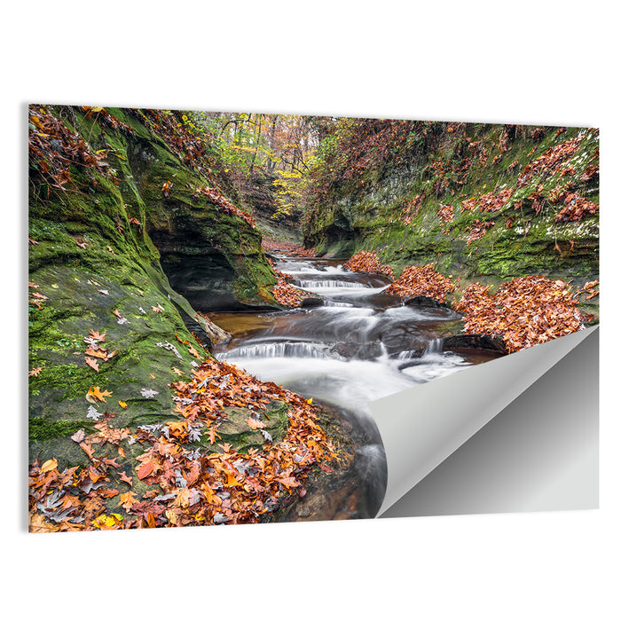 Warren County Autumn Cascades Wall Art as a poster print
