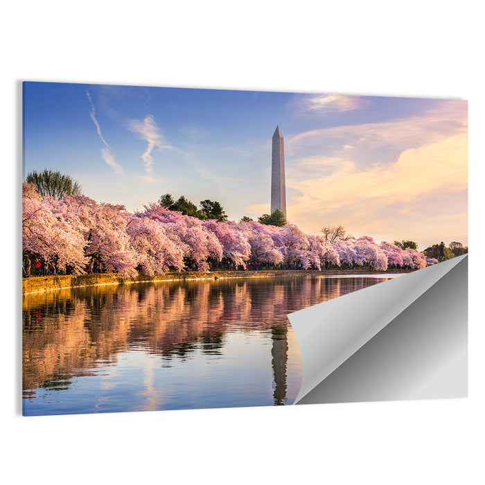 Washington Monument at Tidal Basin Wall Art as a poster print