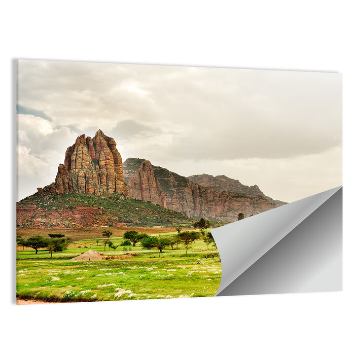 Tigray Mountain Meadow Wall Art as a poster print