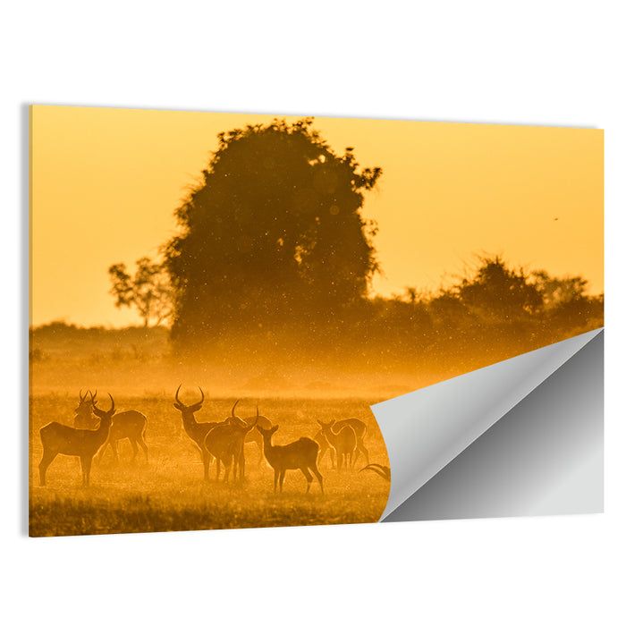 Antelope Herd at Golden Hour Wall Art as a poster print