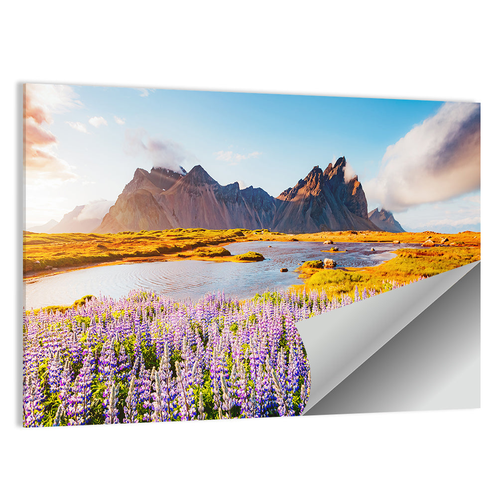 Majestic lupine flowers in Vestrahorn Wall Art