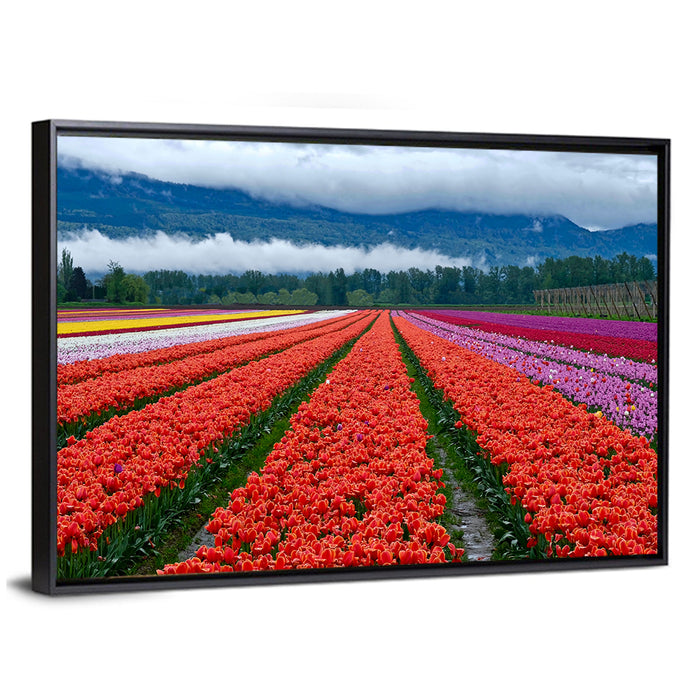 Chilliwack Tulip Festival Wall Art as a framed canvas