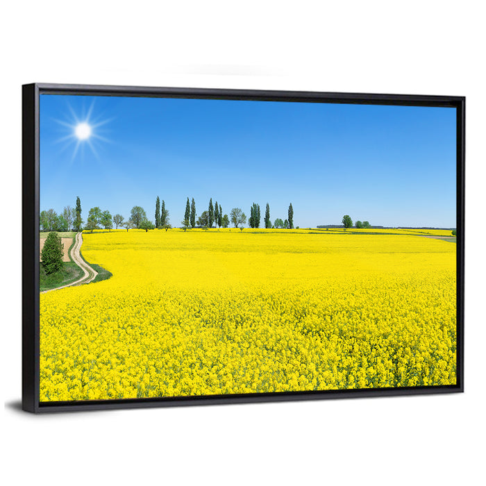 Winding Path Through Rapeseed Field Wall Art as a framed canvas