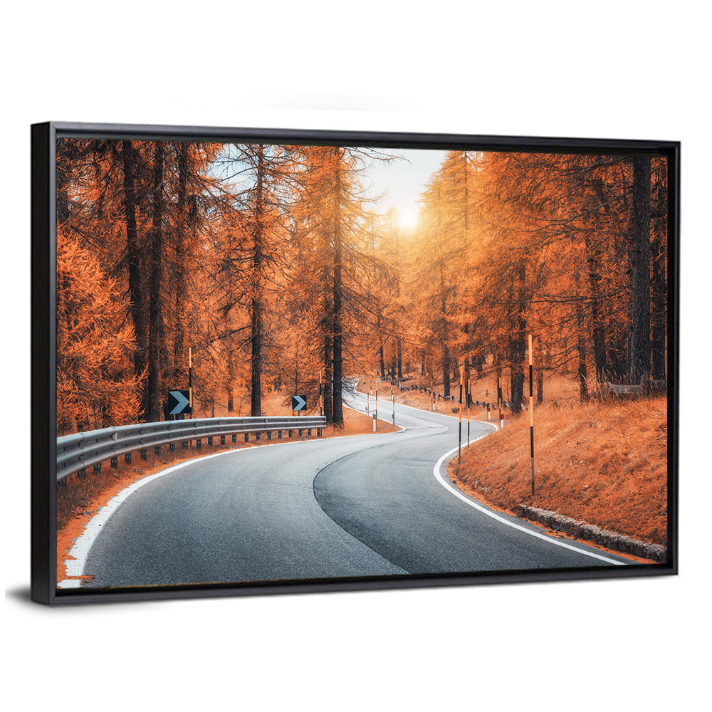 Road In Autumn Forest At Sunset Wall Art