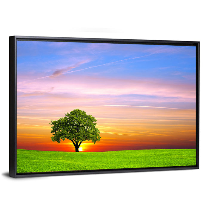 Lone Tree at Sunset Wall Art as a framed canvas