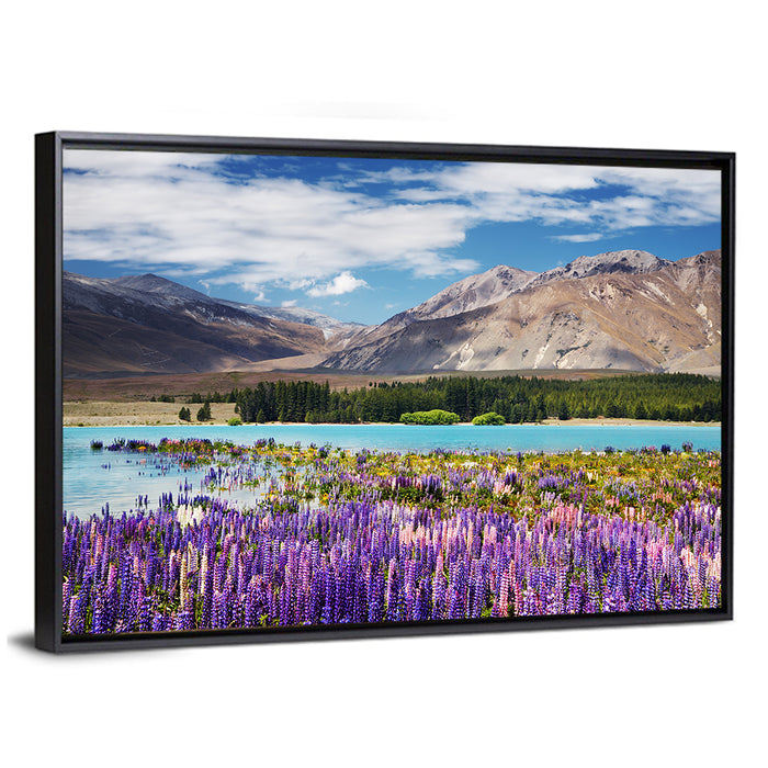 Lupines at Lake Tekapo Wall Art as a framed canvas