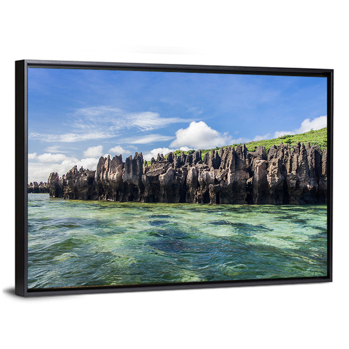 Emerald Sea Coastline, Madagascar Wall Art as a framed canvas