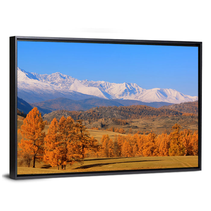 Altay Mountains with Golden Larches Wall Art as a framed canvas