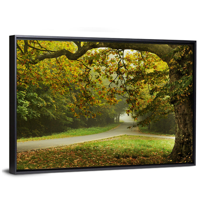 Foggy Autumn Forest Path Wall Art as a framed canvas
