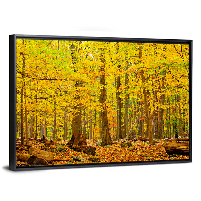 Catoctin Autumn Forest Wall Art as a framed canvas
