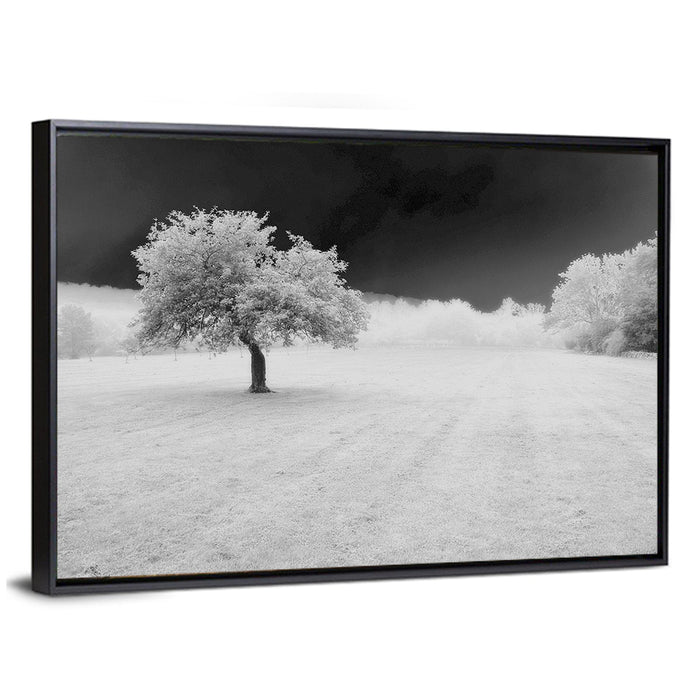 Lonely Tree in Surreal Winter Field Wall Art as a framed canvas