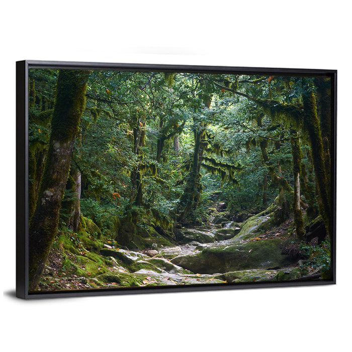 Mossy Halloween Forest Path Wall Art as a framed canvas