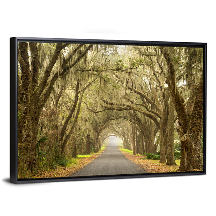 Spanish Moss Country Road Wall Art as a framed canvas