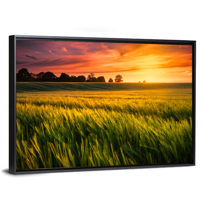 Wheat Field at Golden Hour Wall Art as a framed canvas