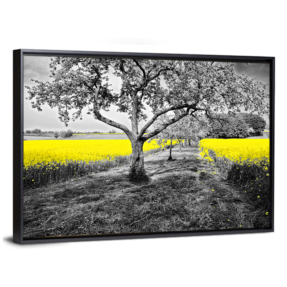 Shining Oilseed Field Wall Art