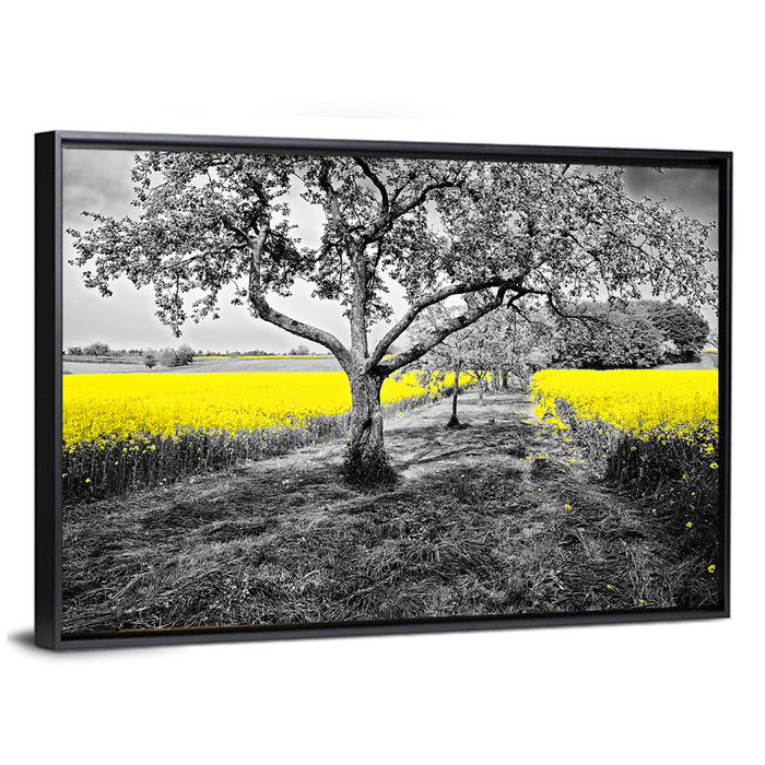 Yellow Oilseed Field with Lone Tree Wall Art as a framed canvas