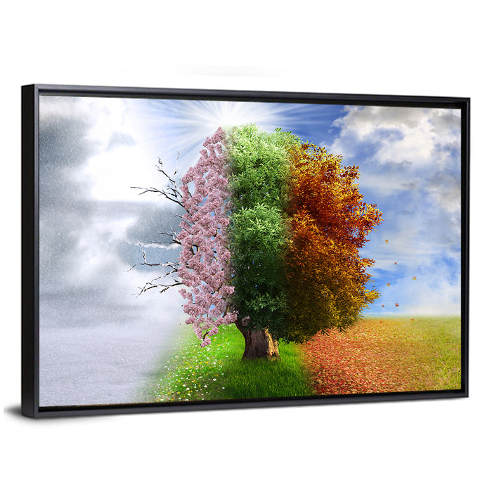 Tree Through Four Seasons Wall Art as a framed canvas
