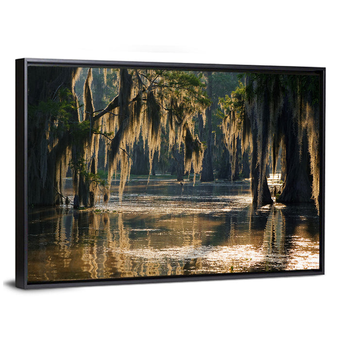 Spanish Moss in Louisiana Bayou Wall Art as a framed canvas