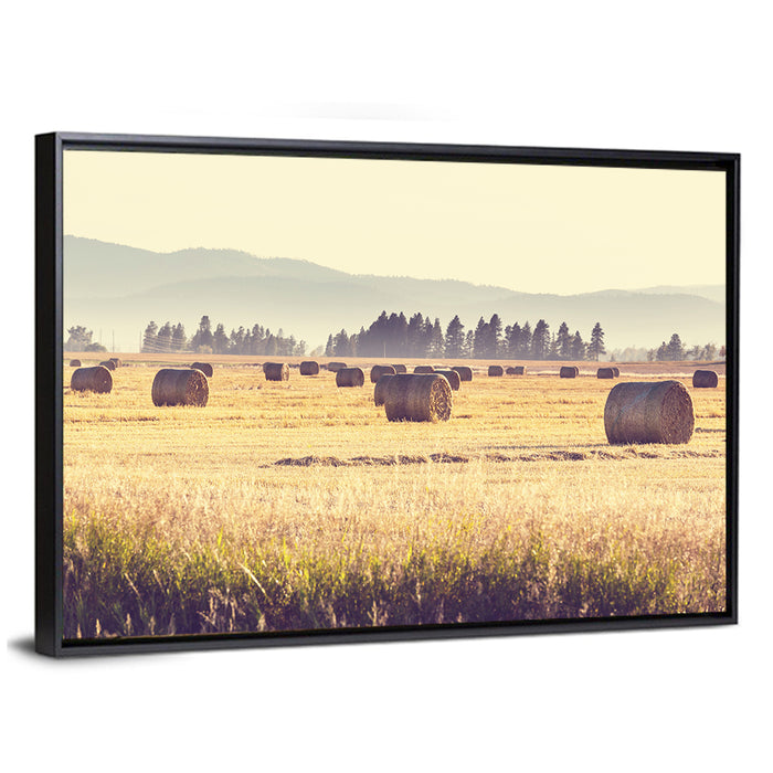 Golden Hay Bales Field Wall Art as a framed canvas