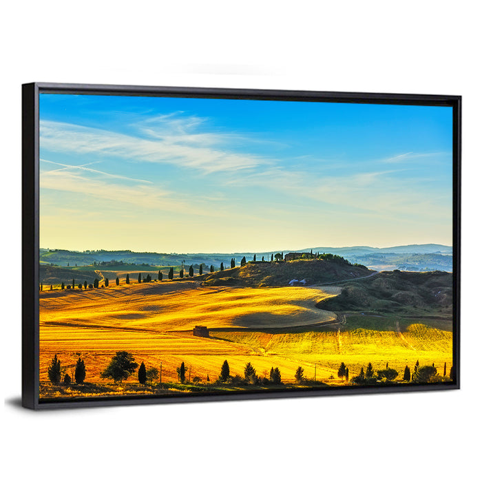 Cypress Trees Over Golden Fields Wall Art as a framed canvas