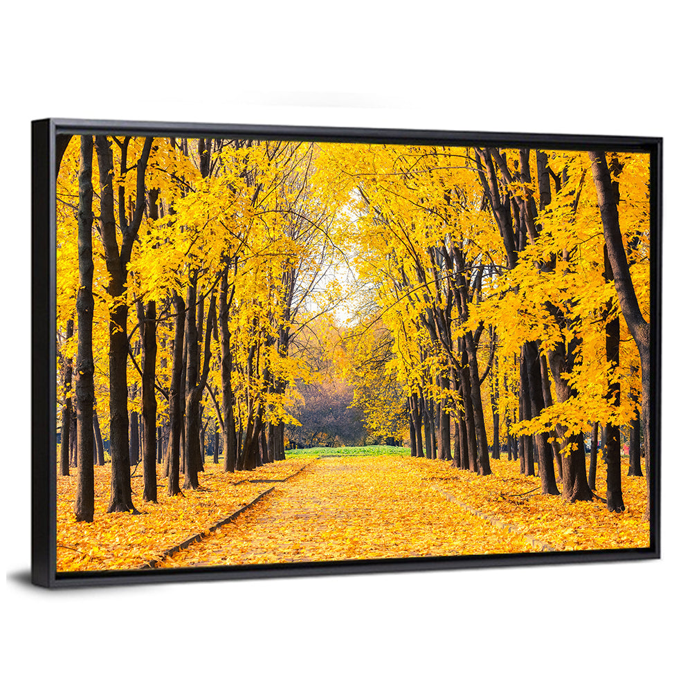 Alley In Bright Autumn Park Wall Art