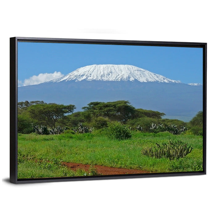 Mount Kilimanjaro Snow Capped Peak Wall Art as a framed canvas
