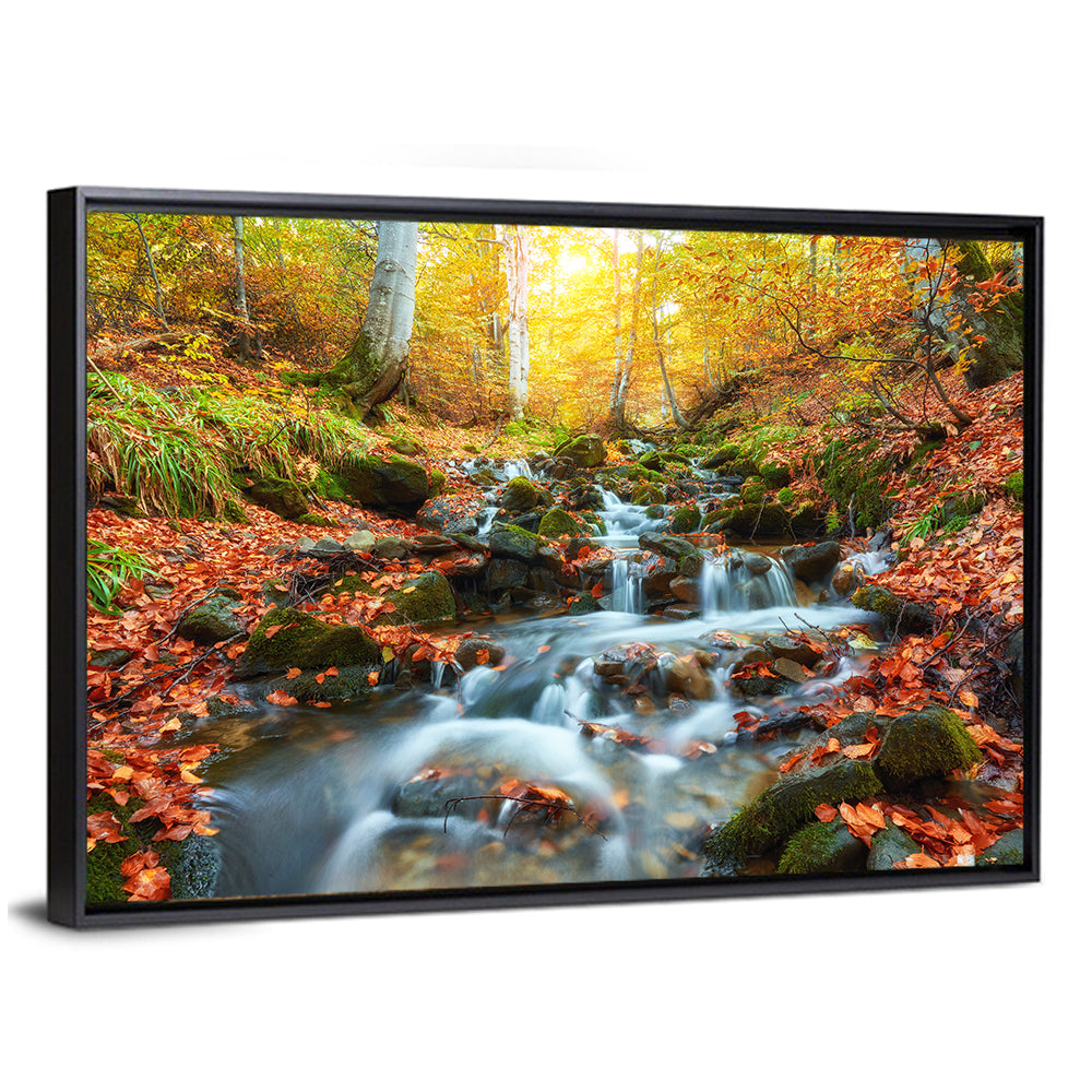 Autumn Stream In Forest Wall Art