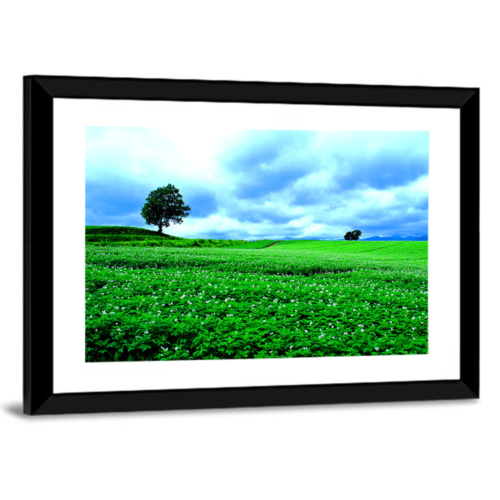 Hill Of Biei In Hokkaido Wall Art