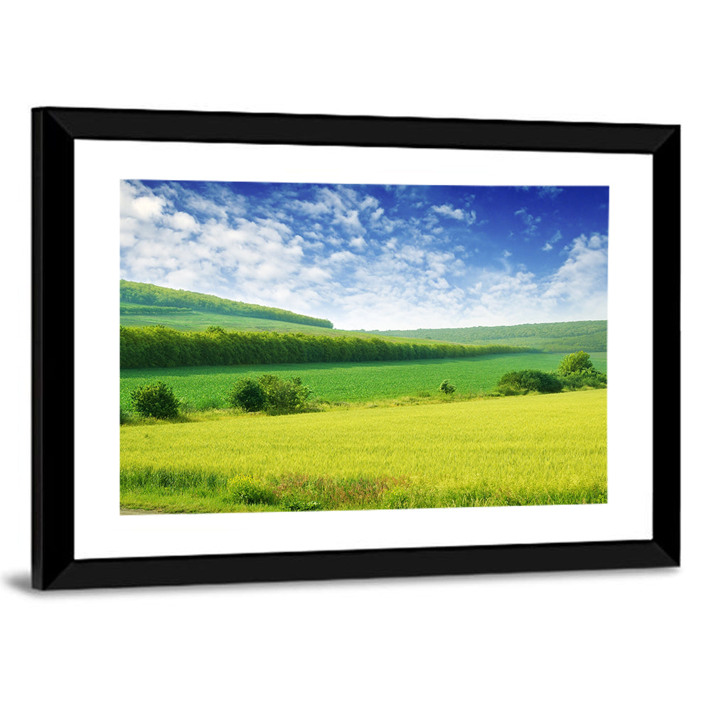 Green Spring Meadow Wall Art