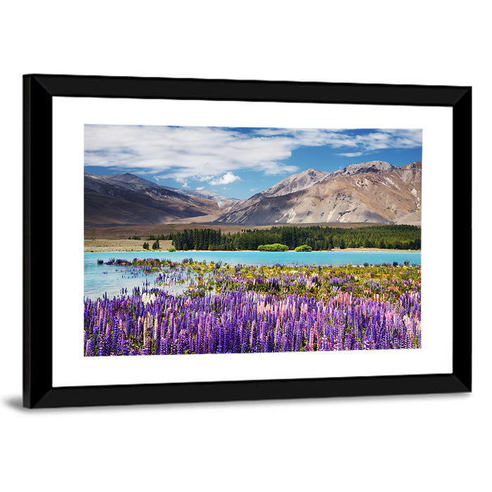 Lupines at Lake Tekapo Wall Art as a framed print