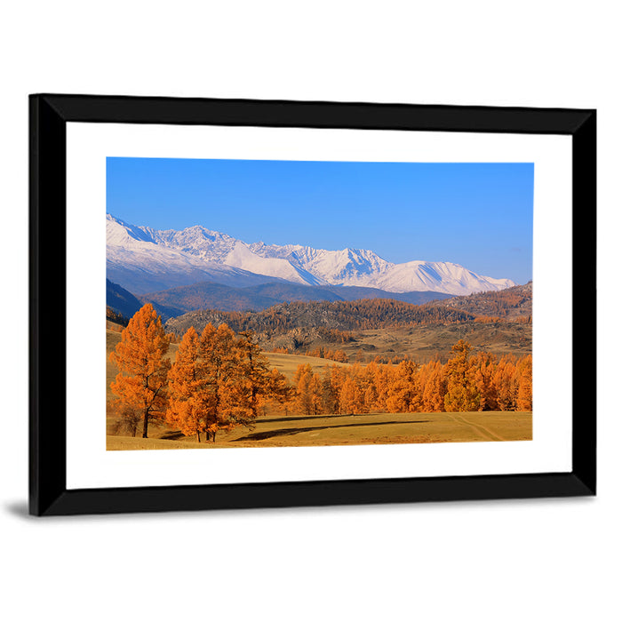 Altay Mountains with Golden Larches Wall Art as a framed print