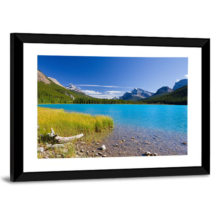 Jasper Lake with Driftwood Wall Art as a framed print